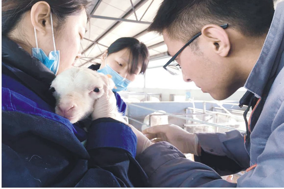 當好產(chǎn)業(yè)扶貧主力軍，打贏脫貧攻堅戰(zhàn)